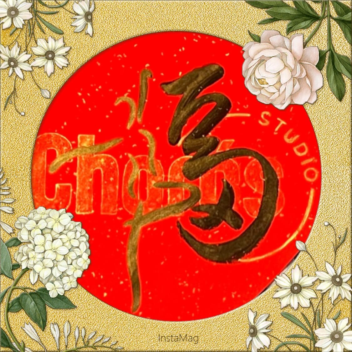 Choros Studio (荔枝角) 鏡房1